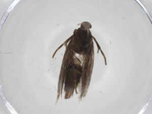  ( - CBG-A25865-F07)  @11 [ ] CreativeCommons - Attribution Share - Alike (2024) Centre for Biodiversity Genomics Centre for Biodiversity Genomics