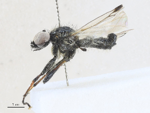  ( - CBG-A25892-E07)  @11 [ ] CreativeCommons - Attribution Share - Alike (2024) CBG Photography Group Centre for Biodiversity Genomics