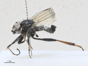  ( - CBG-A25892-E10)  @11 [ ] CreativeCommons - Attribution Share - Alike (2024) CBG Photography Group Centre for Biodiversity Genomics