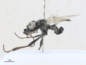  ( - CBG-A25892-G07)  @11 [ ] CreativeCommons - Attribution Share - Alike (2024) CBG Photography Group Centre for Biodiversity Genomics