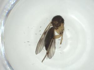  ( - CBG-A26124-E04)  @11 [ ] CreativeCommons - Attribution Share - Alike (2024) Centre for Biodiversity Genomics Centre for Biodiversity Genomics