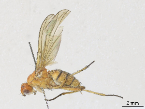  ( - CBG-A27576-A07)  @11 [ ] CreativeCommons - Attribution Share - Alike (2024) CBG Photography Group Centre for Biodiversity Genomics