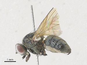  ( - CBG-A27576-B10)  @11 [ ] CreativeCommons - Attribution Share - Alike (2024) CBG Photography Group Centre for Biodiversity Genomics