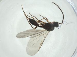  ( - CBG-A27648-D06)  @11 [ ] CreativeCommons - Attribution Share - Alike (2024) Centre for Biodiversity Genomics Centre for Biodiversity Genomics