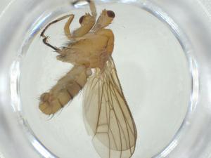  ( - CBG-A27661-G04)  @11 [ ] CreativeCommons - Attribution Share - Alike (2024) Centre for Biodiversity Genomics Centre for Biodiversity Genomics