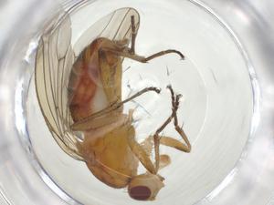  ( - CBG-A27750-G01)  @11 [ ] CreativeCommons - Attribution Share - Alike (2024) Centre for Biodiversity Genomics Centre for Biodiversity Genomics