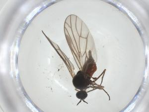  ( - CBG-A27757-F09)  @11 [ ] CreativeCommons - Attribution Share - Alike (2024) Centre for Biodiversity Genomics Centre for Biodiversity Genomics