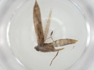  ( - CBG-A27760-B06)  @11 [ ] CreativeCommons - Attribution Share - Alike (2024) Centre for Biodiversity Genomics Centre for Biodiversity Genomics