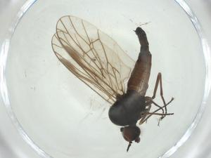  ( - CBG-A27761-F02)  @11 [ ] CreativeCommons - Attribution Share - Alike (2024) Centre for Biodiversity Genomics Centre for Biodiversity Genomics