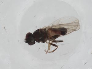  ( - CBG-A27762-E07)  @11 [ ] CreativeCommons - Attribution Share - Alike (2024) Centre for Biodiversity Genomics Centre for Biodiversity Genomics