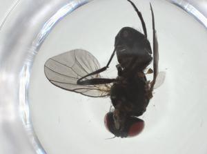  ( - CBG-A27801-F06)  @11 [ ] CreativeCommons - Attribution Share - Alike (2024) Centre for Biodiversity Genomics Centre for Biodiversity Genomics