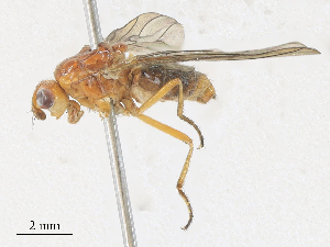  ( - CBG-A28406-H06)  @11 [ ] CreativeCommons - Attribution Share - Alike (2024) CBG Photography Group Centre for Biodiversity Genomics