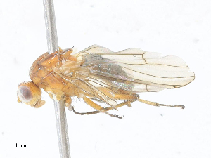  ( - CBG-A28406-H10)  @11 [ ] CreativeCommons - Attribution Share - Alike (2024) CBG Photography Group Centre for Biodiversity Genomics