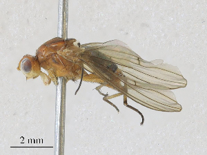  ( - CBG-A28407-A09)  @11 [ ] CreativeCommons - Attribution Share - Alike (2024) CBG Photography Group Centre for Biodiversity Genomics