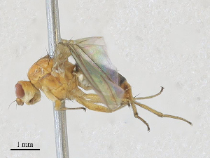  ( - CBG-A28407-A10)  @11 [ ] CreativeCommons - Attribution Share - Alike (2024) CBG Photography Group Centre for Biodiversity Genomics