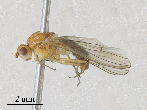  ( - CBG-A28407-B08)  @11 [ ] CreativeCommons - Attribution Share - Alike (2024) CBG Photography Group Centre for Biodiversity Genomics