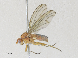  ( - CBG-A28408-F06)  @11 [ ] CreativeCommons - Attribution Share - Alike (2024) CBG Photography Group Centre for Biodiversity Genomics