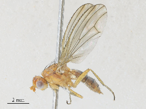  ( - CBG-A28408-F09)  @11 [ ] CreativeCommons - Attribution Share - Alike (2024) CBG Photography Group Centre for Biodiversity Genomics