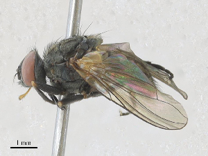  ( - CBG-A28409-D07)  @11 [ ] CreativeCommons - Attribution Share - Alike (2024) CBG Photography Group Centre for Biodiversity Genomics