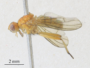  ( - CBG-A28410-B08)  @11 [ ] CreativeCommons - Attribution Share - Alike (2024) CBG Photography Group Centre for Biodiversity Genomics