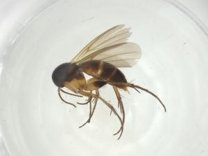  ( - CBG-A28483-A08)  @11 [ ] CreativeCommons - Attribution Share - Alike (2024) Centre for Biodiversity Genomics Centre for Biodiversity Genomics