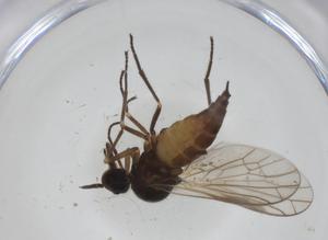  ( - CBG-A28487-F08)  @11 [ ] CreativeCommons - Attribution Share - Alike (2024) Centre for Biodiversity Genomics Centre for Biodiversity Genomics