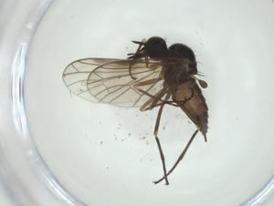  ( - CBG-A28499-F10)  @11 [ ] CreativeCommons - Attribution Share - Alike (2024) Centre for Biodiversity Genomics Centre for Biodiversity Genomics