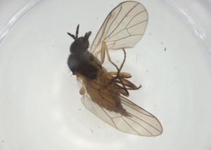  ( - CBG-A28500-C03)  @11 [ ] CreativeCommons - Attribution Share - Alike (2024) Centre for Biodiversity Genomics Centre for Biodiversity Genomics