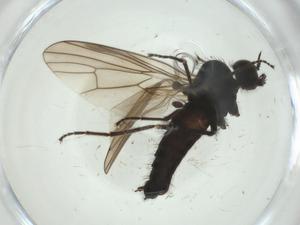  ( - CBG-A28502-B05)  @11 [ ] CreativeCommons - Attribution Share - Alike (2024) Centre for Biodiversity Genomics Centre for Biodiversity Genomics