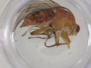  ( - CBG-A28504-B05)  @11 [ ] CreativeCommons - Attribution Share - Alike (2024) Centre for Biodiversity Genomics Centre for Biodiversity Genomics