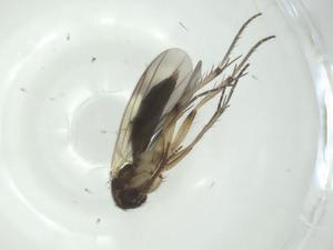  ( - CBG-A28505-B08)  @11 [ ] CreativeCommons - Attribution Share - Alike (2024) Centre for Biodiversity Genomics Centre for Biodiversity Genomics