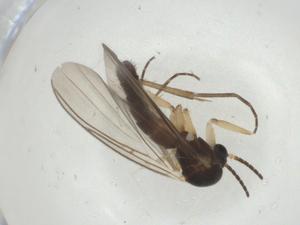  ( - CBG-A28513-E03)  @11 [ ] CreativeCommons - Attribution Share - Alike (2024) Centre for Biodiversity Genomics Centre for Biodiversity Genomics