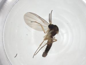  ( - CBG-A28517-H11)  @11 [ ] CreativeCommons - Attribution Share - Alike (2024) Centre for Biodiversity Genomics Centre for Biodiversity Genomics