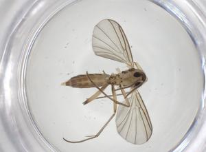  ( - CBG-A28521-H06)  @11 [ ] CreativeCommons - Attribution Share - Alike (2024) Centre for Biodiversity Genomics Centre for Biodiversity Genomics