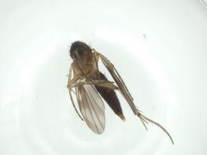  ( - CBG-A28522-D01)  @11 [ ] CreativeCommons - Attribution Share - Alike (2024) Centre for Biodiversity Genomics Centre for Biodiversity Genomics