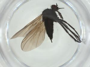  ( - CBG-A28527-F02)  @11 [ ] CreativeCommons - Attribution Share - Alike (2024) Centre for Biodiversity Genomics Centre for Biodiversity Genomics