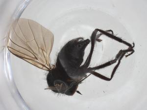  ( - CBG-A28528-C09)  @11 [ ] CreativeCommons - Attribution Share - Alike (2024) Centre for Biodiversity Genomics Centre for Biodiversity Genomics