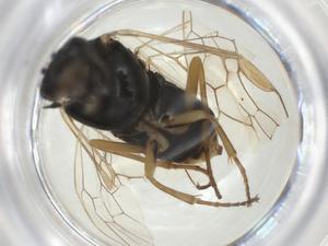  ( - CBG-A28530-H08)  @11 [ ] CreativeCommons - Attribution Share - Alike (2024) Centre for Biodiversity Genomics Centre for Biodiversity Genomics