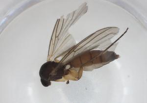  ( - CBG-A28534-B08)  @11 [ ] CreativeCommons - Attribution Share - Alike (2024) Centre for Biodiversity Genomics Centre for Biodiversity Genomics