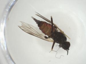  ( - CBG-A28540-C08)  @11 [ ] CreativeCommons - Attribution Share - Alike (2024) Centre for Biodiversity Genomics Centre for Biodiversity Genomics