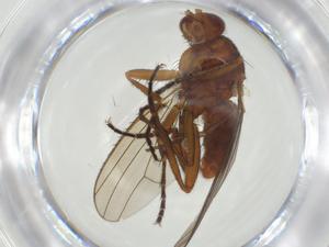  ( - CBG-A28540-F08)  @11 [ ] CreativeCommons - Attribution Share - Alike (2024) Centre for Biodiversity Genomics Centre for Biodiversity Genomics