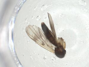  ( - CBG-A28546-F04)  @11 [ ] CreativeCommons - Attribution Share - Alike (2024) Centre for Biodiversity Genomics Centre for Biodiversity Genomics