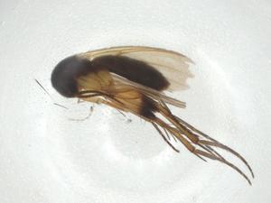  ( - CBG-A28549-E05)  @11 [ ] CreativeCommons - Attribution Share - Alike (2024) Centre for Biodiversity Genomics Centre for Biodiversity Genomics