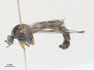  ( - CBG-A30021-G01)  @11 [ ] CreativeCommons - Attribution Share - Alike (2024) CBG Photography Group Centre for Biodiversity Genomics