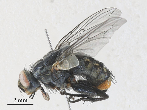  ( - CBG-A30022-F04)  @11 [ ] CreativeCommons - Attribution Share - Alike (2024) CBG Photography Group Centre for Biodiversity Genomics