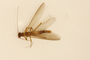  ( - INHS-1084508)  @11 [ ] CC BY (2025) Unspecified University of Illinois, Urbana-Champaign