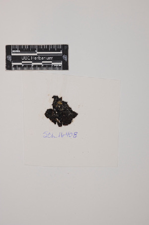  ( - SCL16408)  @11 [ ] CreativeCommons Attribution Non-Commercial No Derivatives (2019) Sandra Lindstrom University of British Columbia