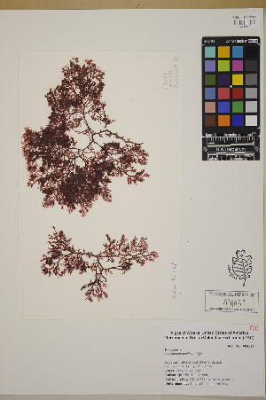  ( - SCL15761)  @11 [ ] CreativeCommons Attribution Non-Commercial No Derivatives (2019) Sandra Lindstrom University of British Columbia