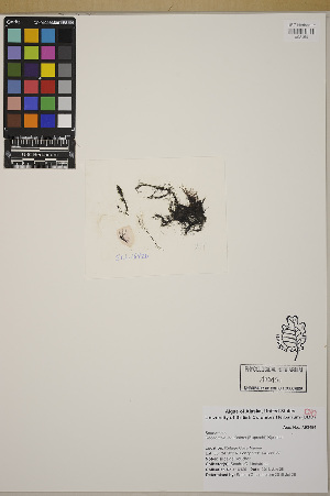  ( - SCL16426.2)  @11 [ ] CreativeCommons Attribution Non-Commercial No Derivatives (2019) Sandra Lindstrom University of British Columbia