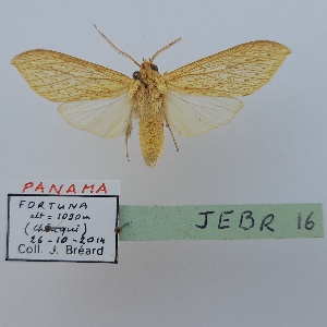  ( - JEBR16)  @11 [ ] copyright (2025) Jean Breard Unspecified